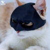 Batman Mask for Cat