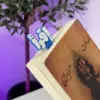 Book Mark